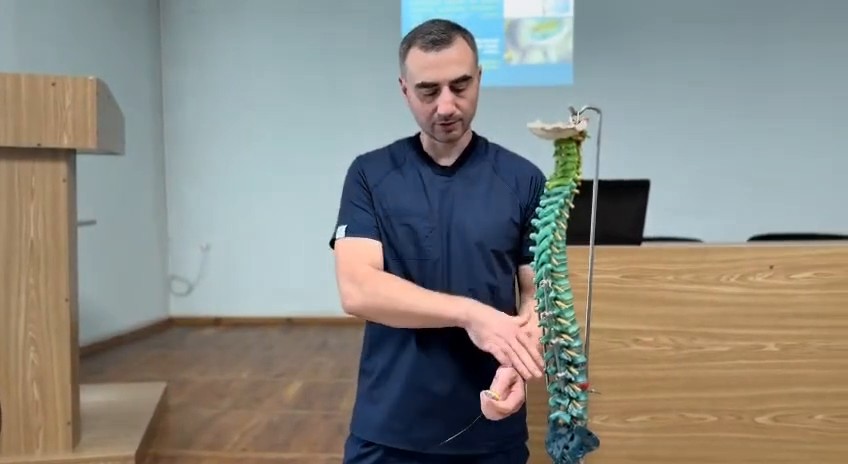 3D Spine Model